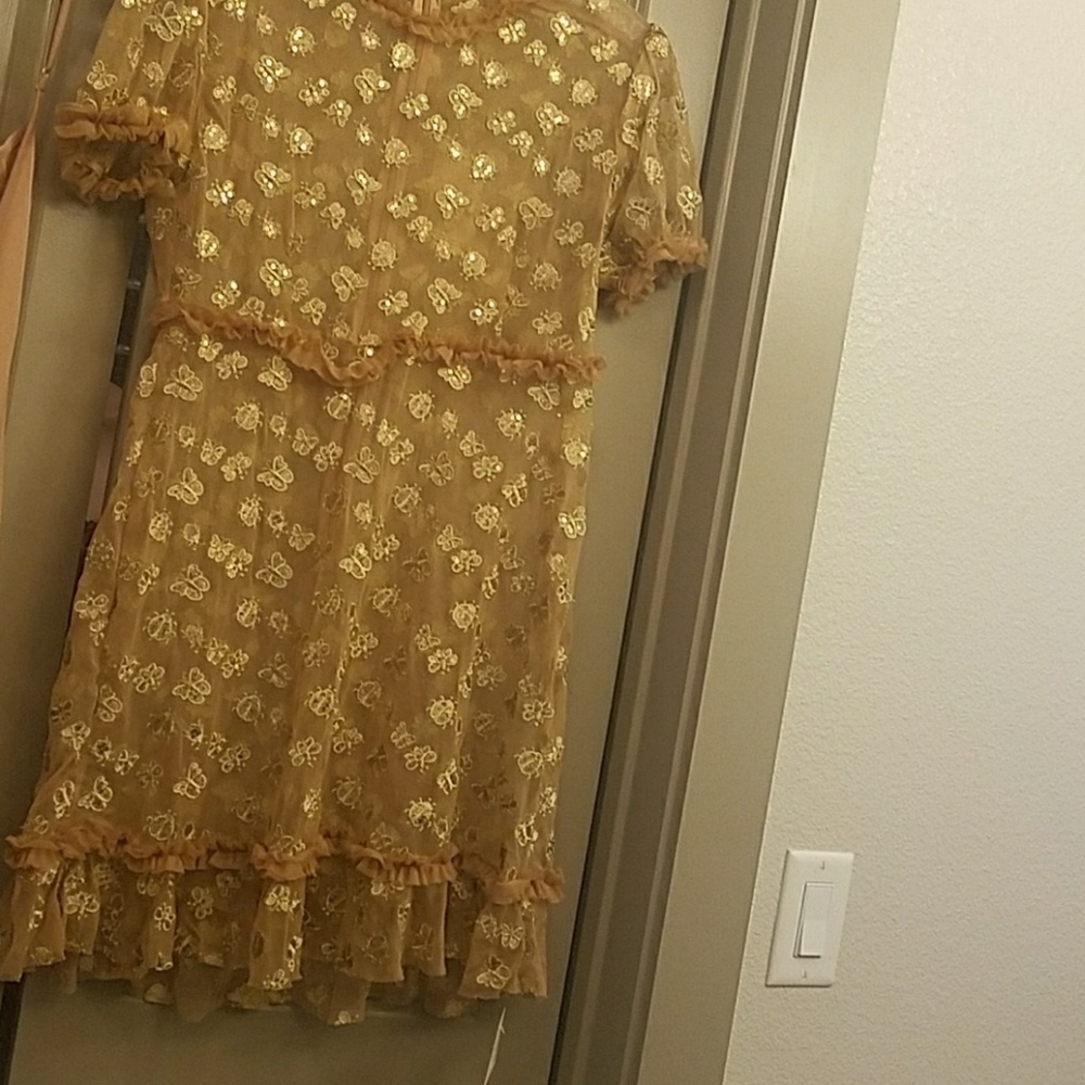 🐝​ Golden Garden Tulle Mini Dress. Price is Firm or Best Offer.